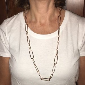 Francesca’s Gold Chain necklace